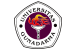 Universitas Gunadarma