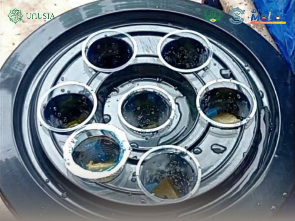 Sobat Bumi Unusia Dorong Ketahanan Pangan Lewat Budidaya Lele dalam Ember